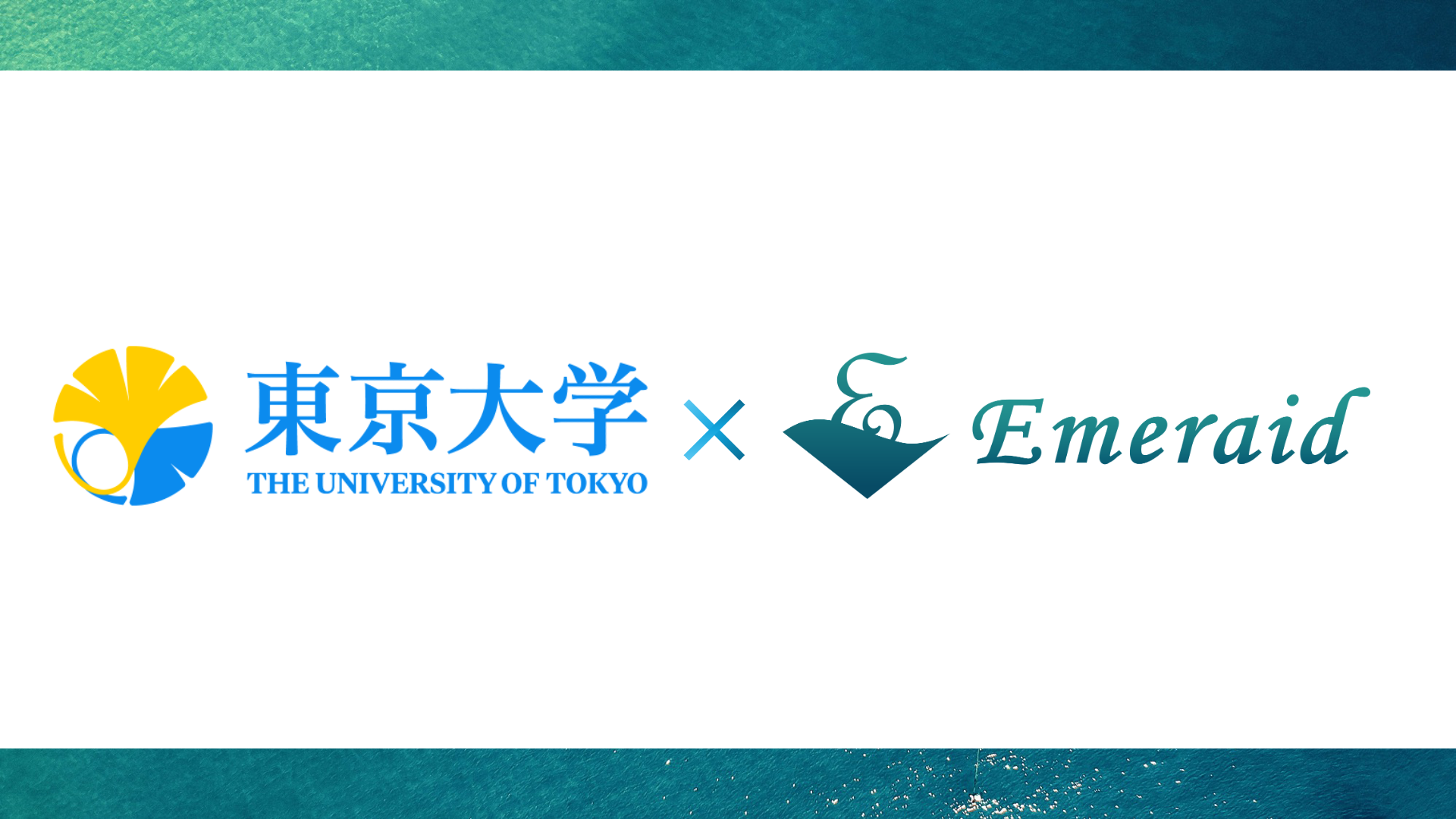 株式会社Emeraid CEO 島が、東京大学にてヘルスケアAI–DXに関する講演を実施